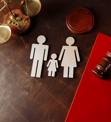 https://www.sattvalegal.com/wp-content/uploads/2024/01/Family-Law-Services-banner-12.jpg